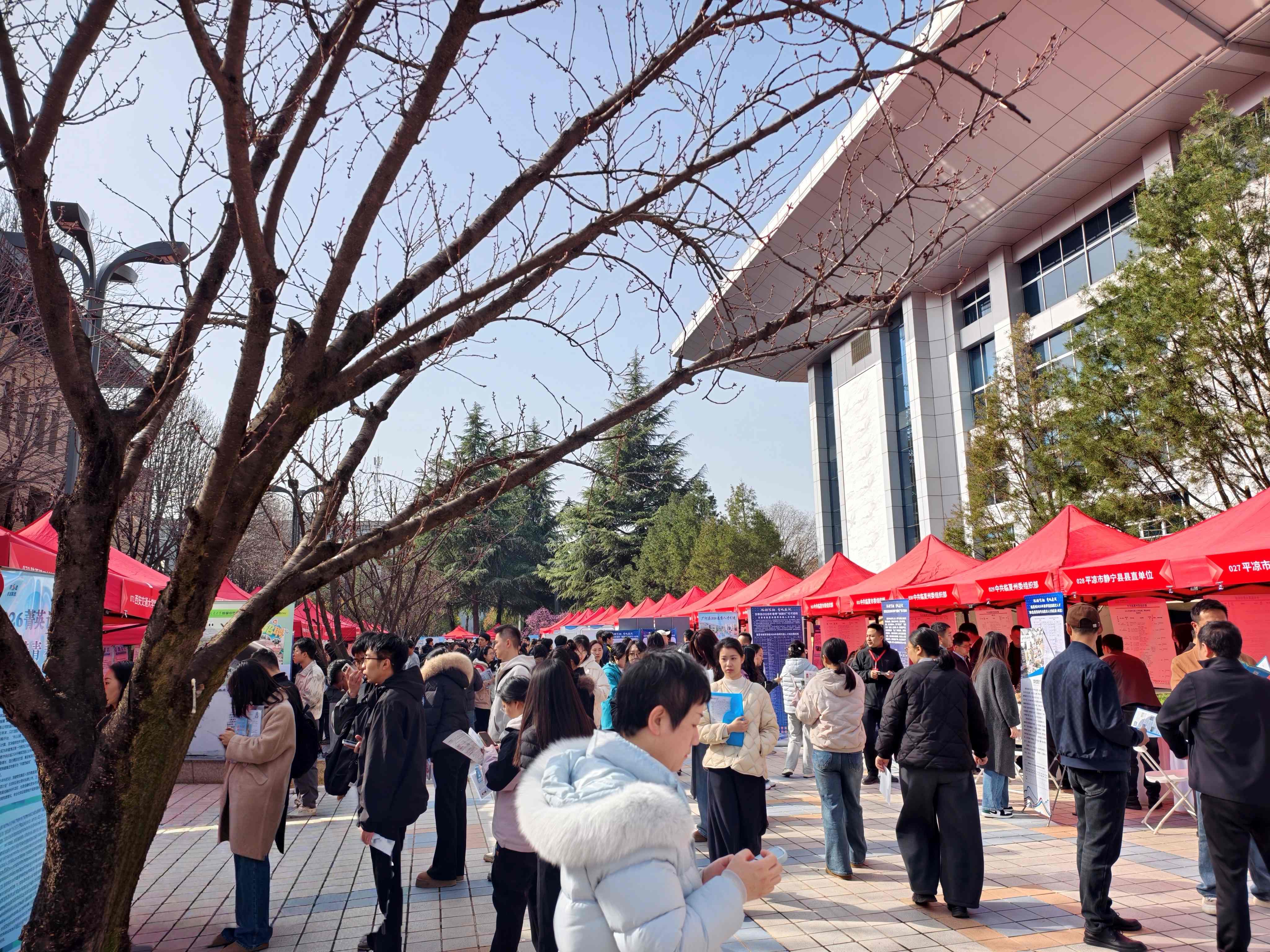 38d20b38-274a-11f1-8da0-fea6c39cc3af.jpg